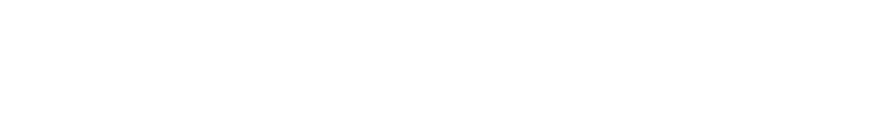 Registro de nuevo usuario